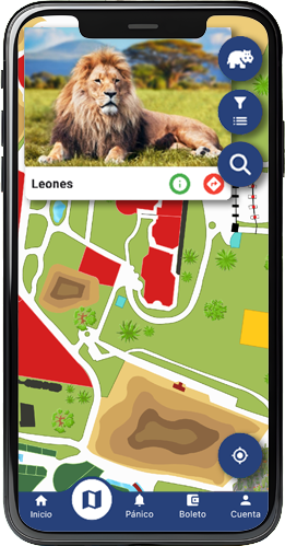 Vista previa del Mapa Interactivo PATPAL